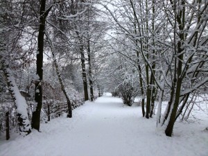 winterwonderland_26_by_jollystock-d382gwd